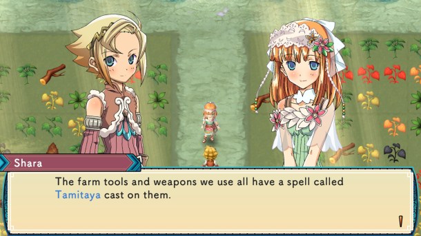 Rune Factory 3 Special | Weapons